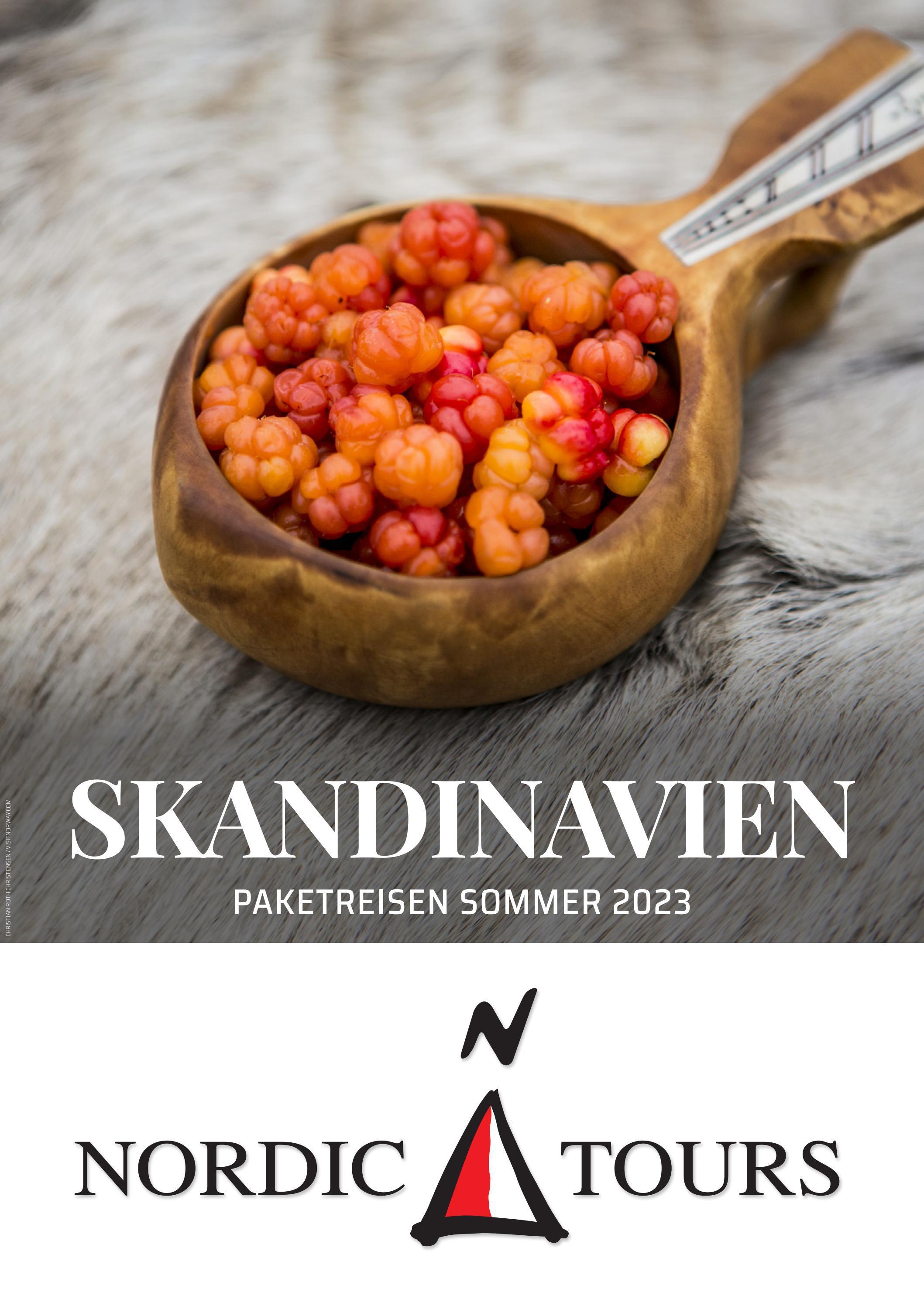 Skandinavien by BUCHS - Issuu