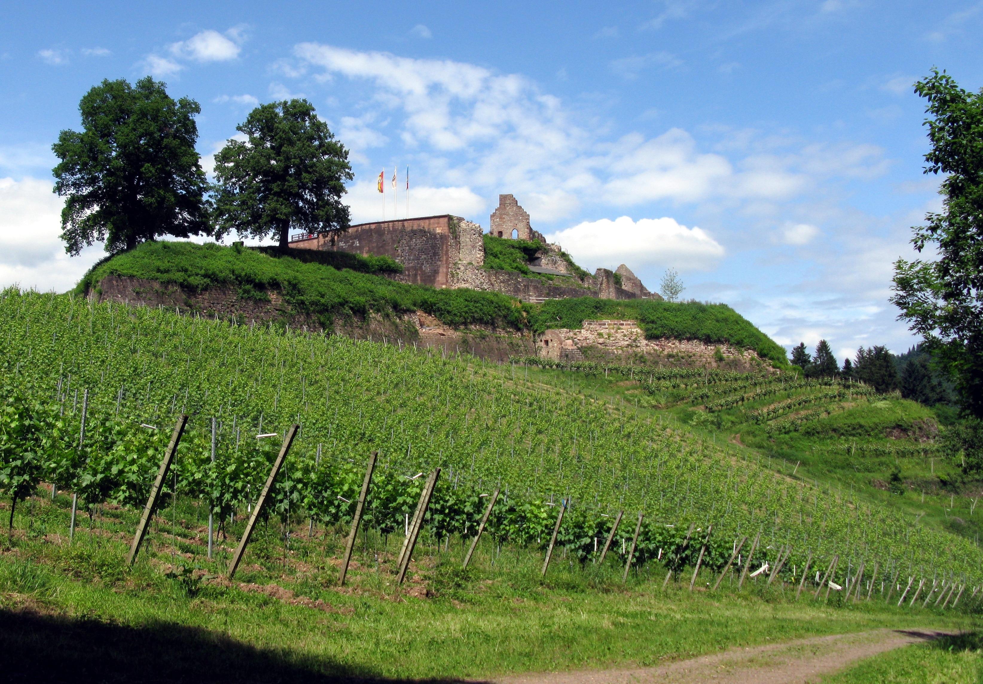 Visit Emmendingen: 2024 Travel Guide for Emmendingen, Baden ...