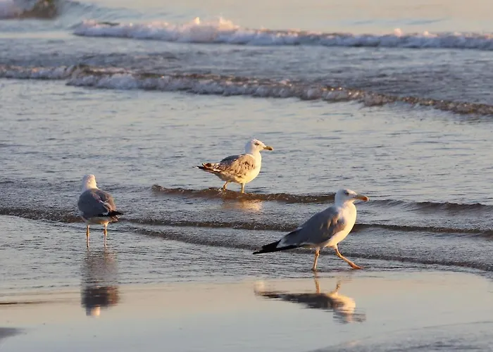 Migliori Hotel a Vieste