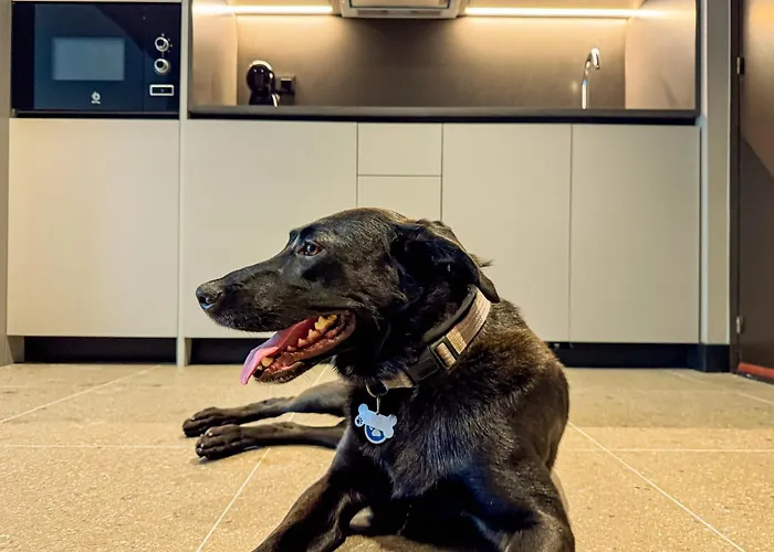 Mejores hoteles en Vigo