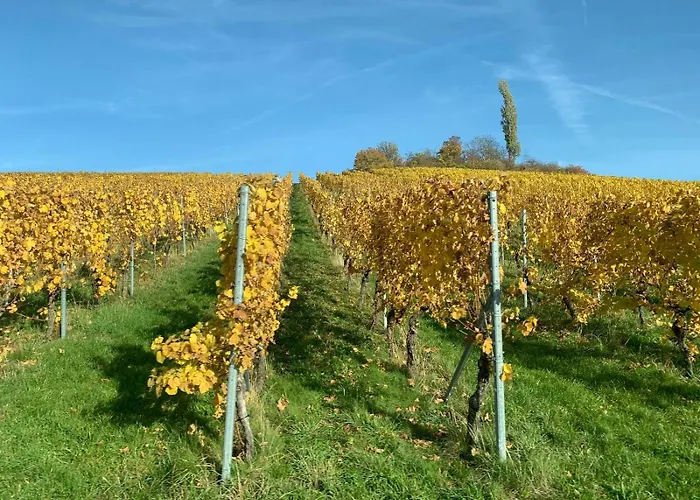 Erstklassiges Weinstadt Hotel in Beutelsbach